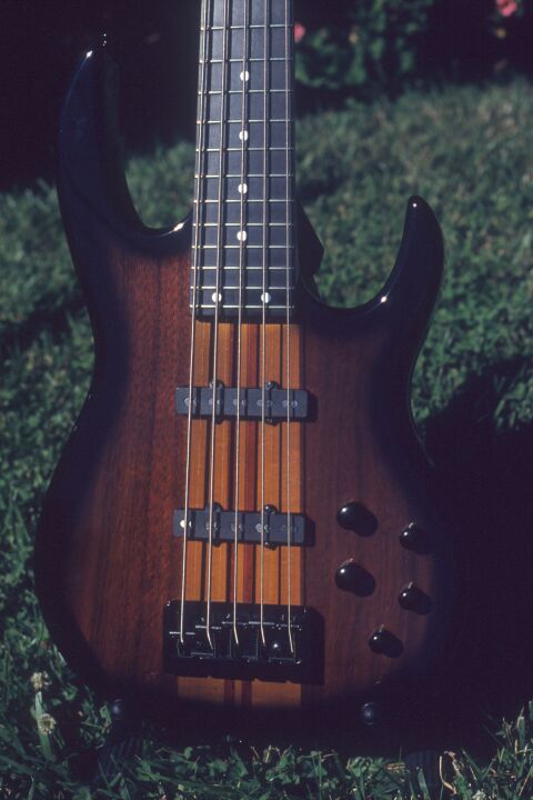 Closeup of the body, showing the grain
in the koa and the neck-through laminations