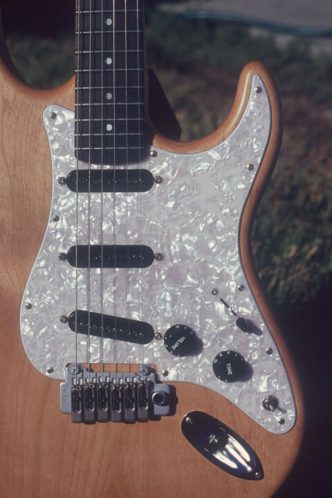 Closeup of the pickguard and trem